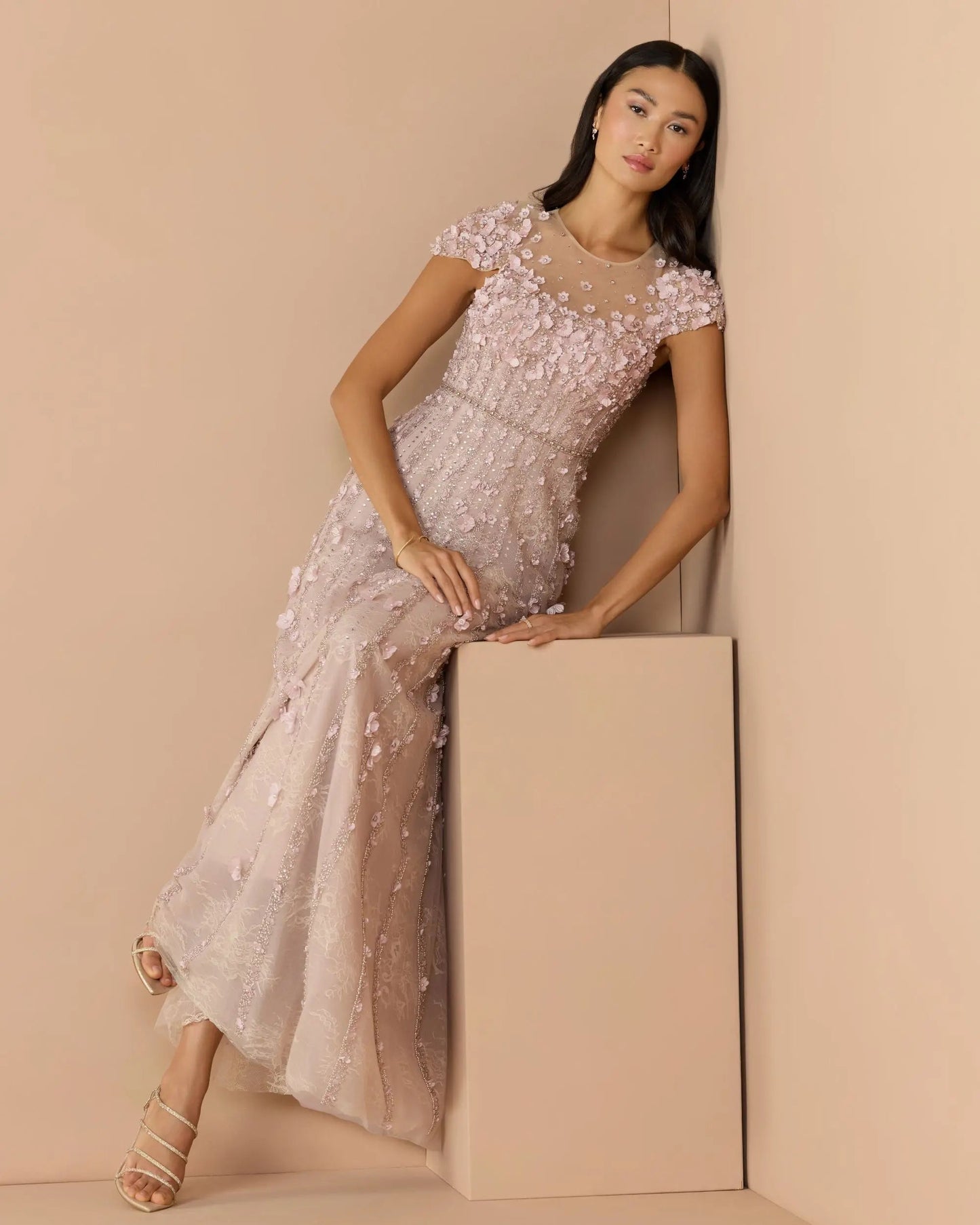 Pink Embellished Lace Illusion Neck A-Line Gown