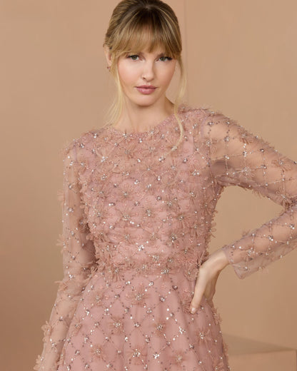 Pink High Neck Long Sleeve Embellished A-Line Gown