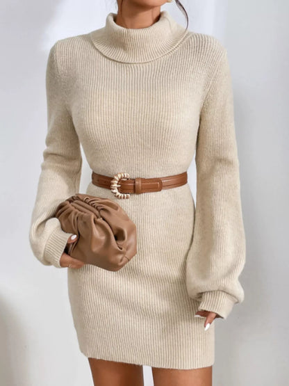 Hazel Blues® |  Turtleneck Ribbed Knit Sweater Dress