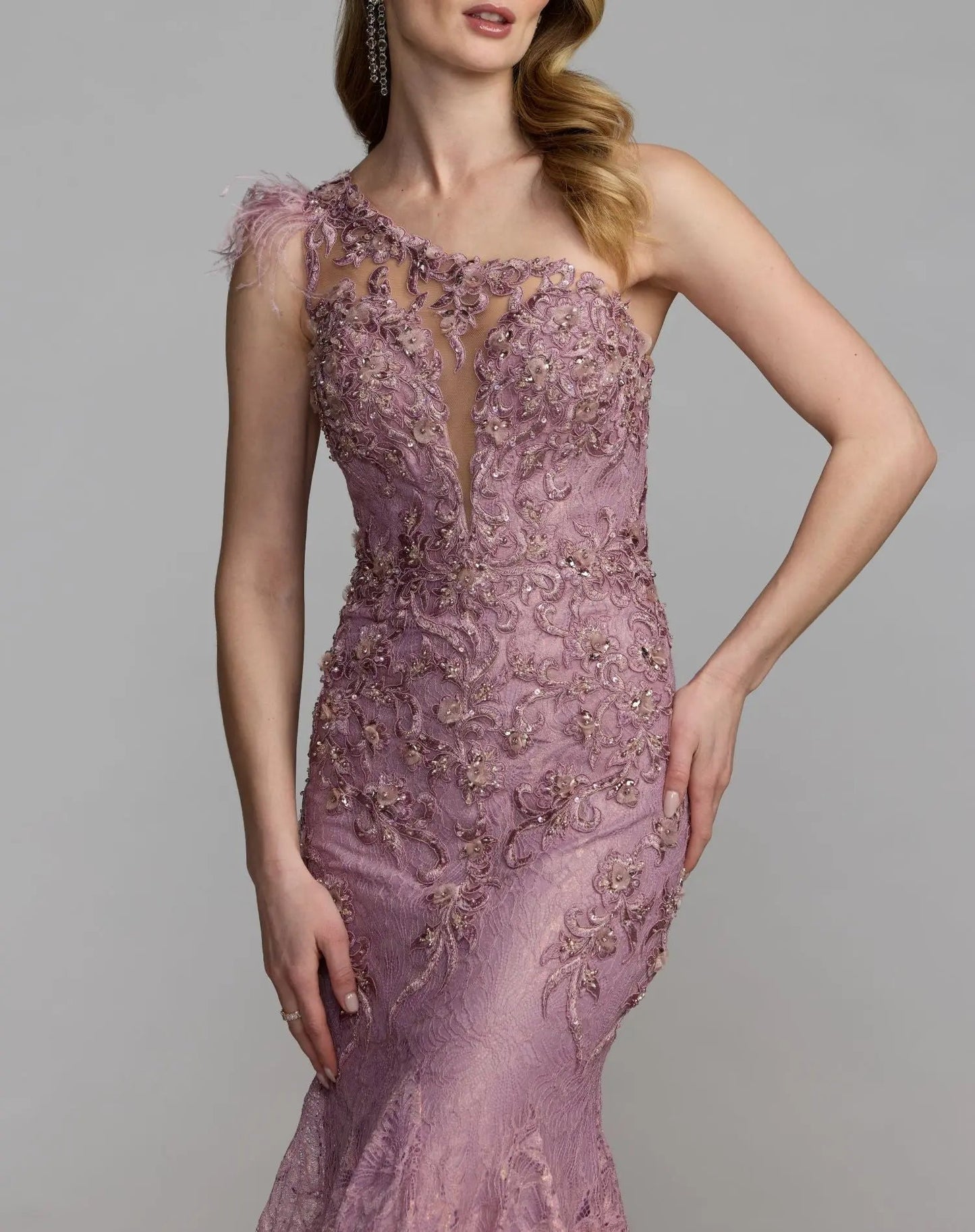 Pink Embellished Lace One Shoulder Gown With Feather Detail