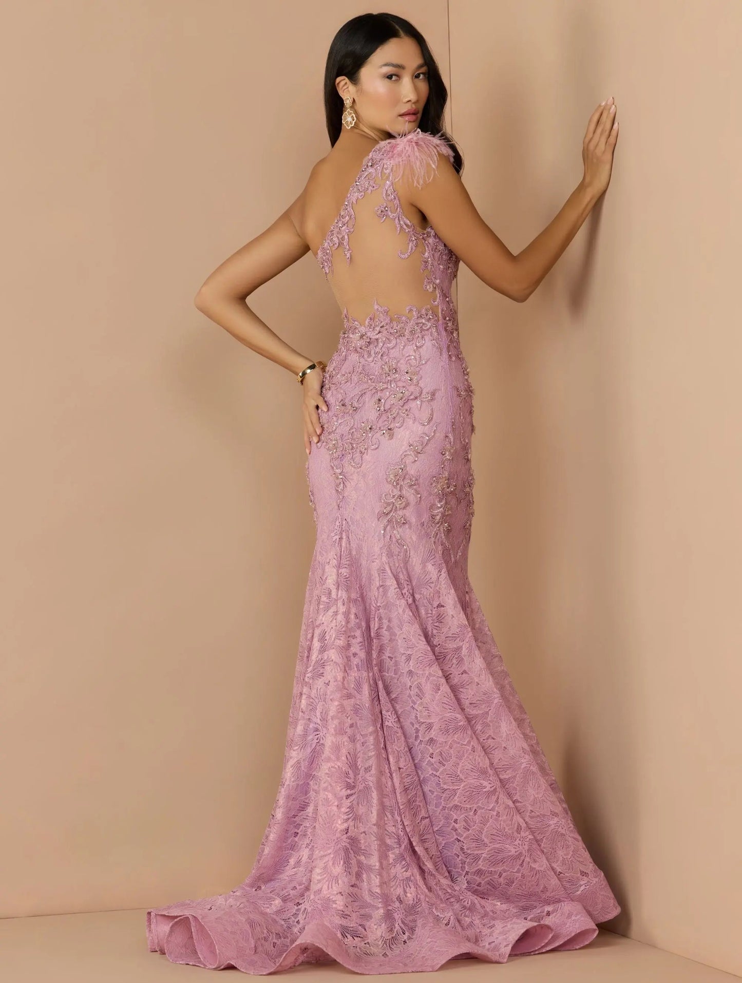 Pink Embellished Lace One Shoulder Gown With Feather Detail