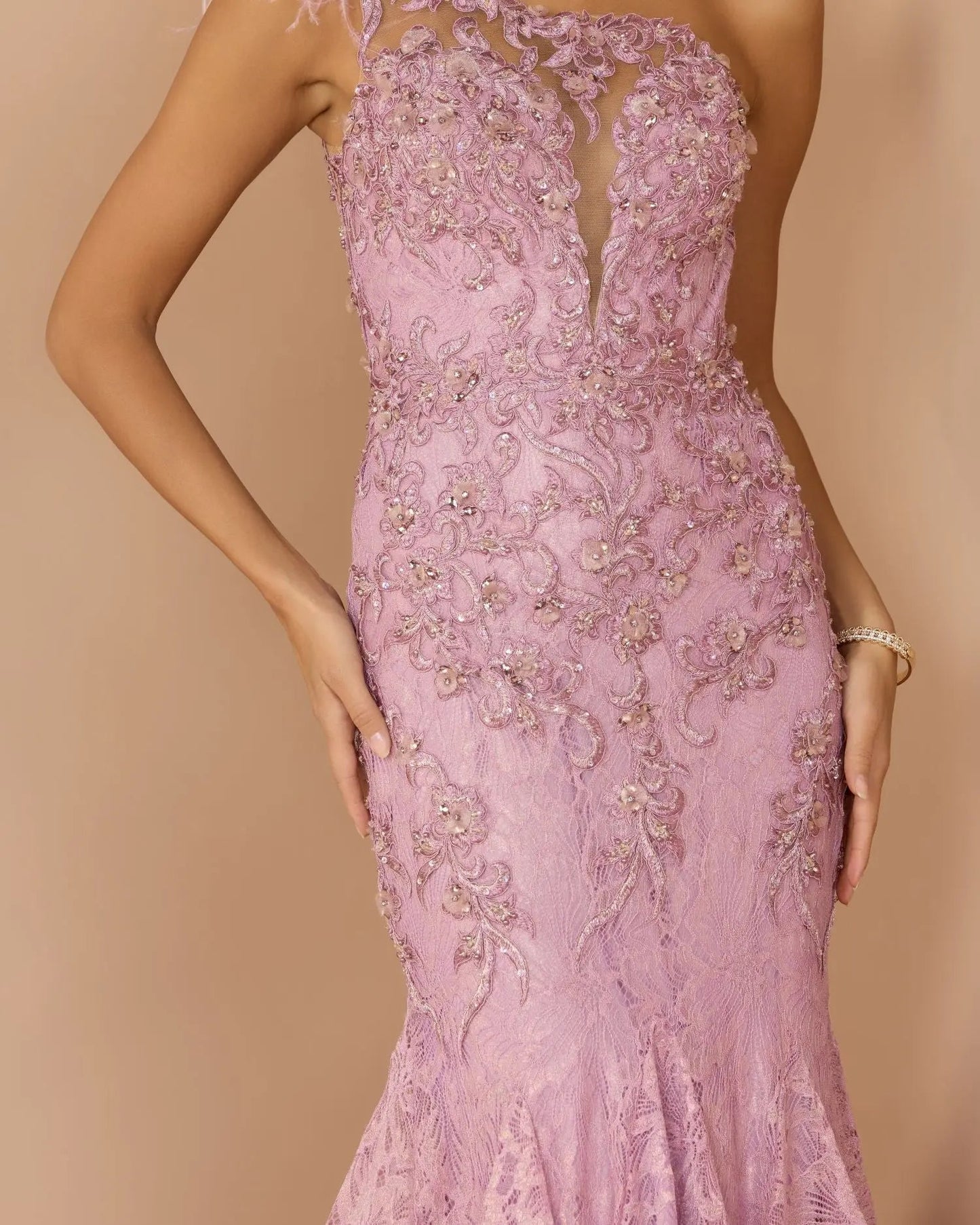 Pink Embellished Lace One Shoulder Gown With Feather Detail