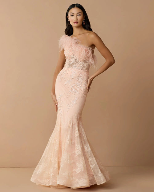 Pink One Shoulder Feather Embellished Mermaid Gown