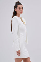 PUT A BOW ON IT MINI DRESS