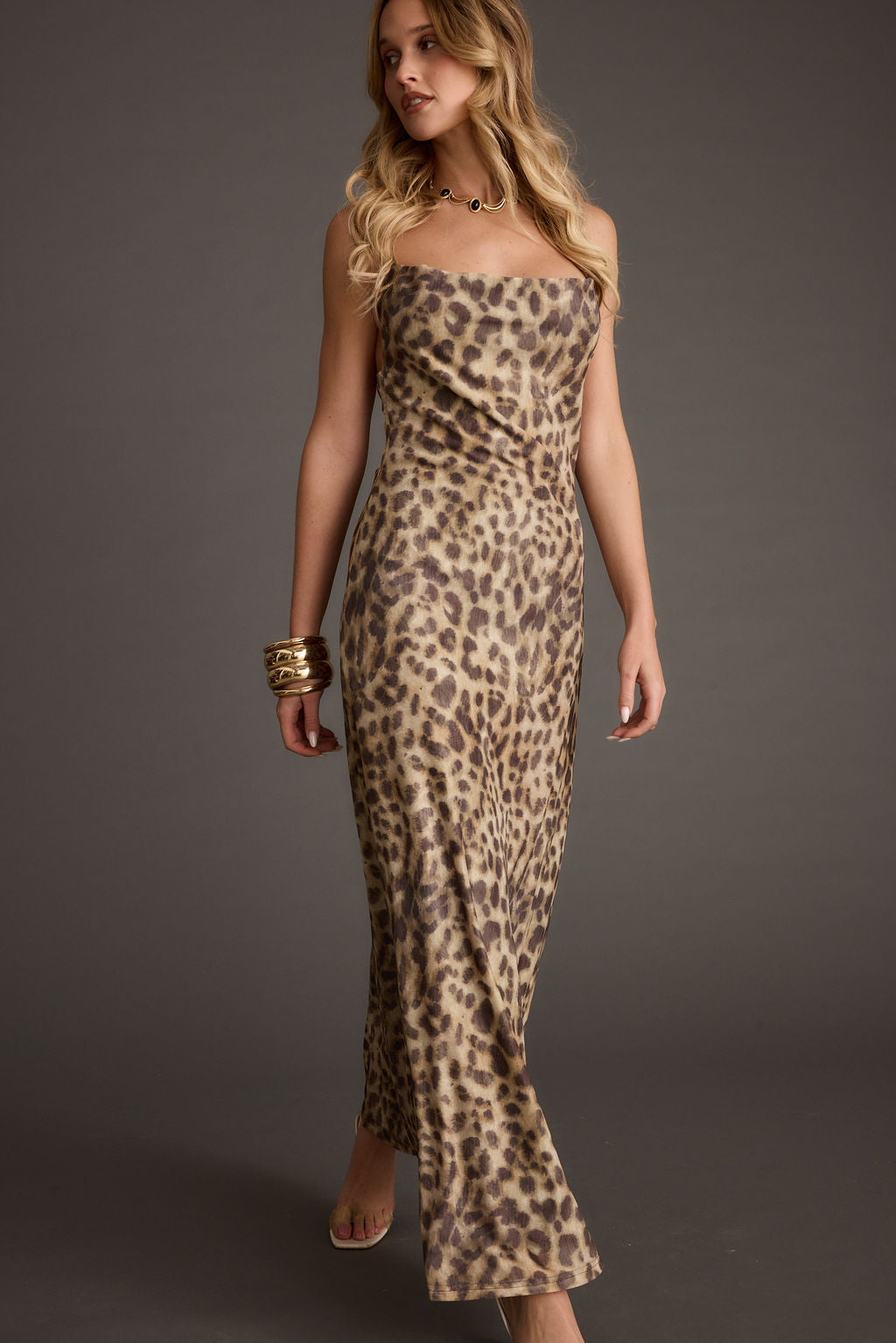 Wild Thing Leopard Print Mesh Maxi Dress