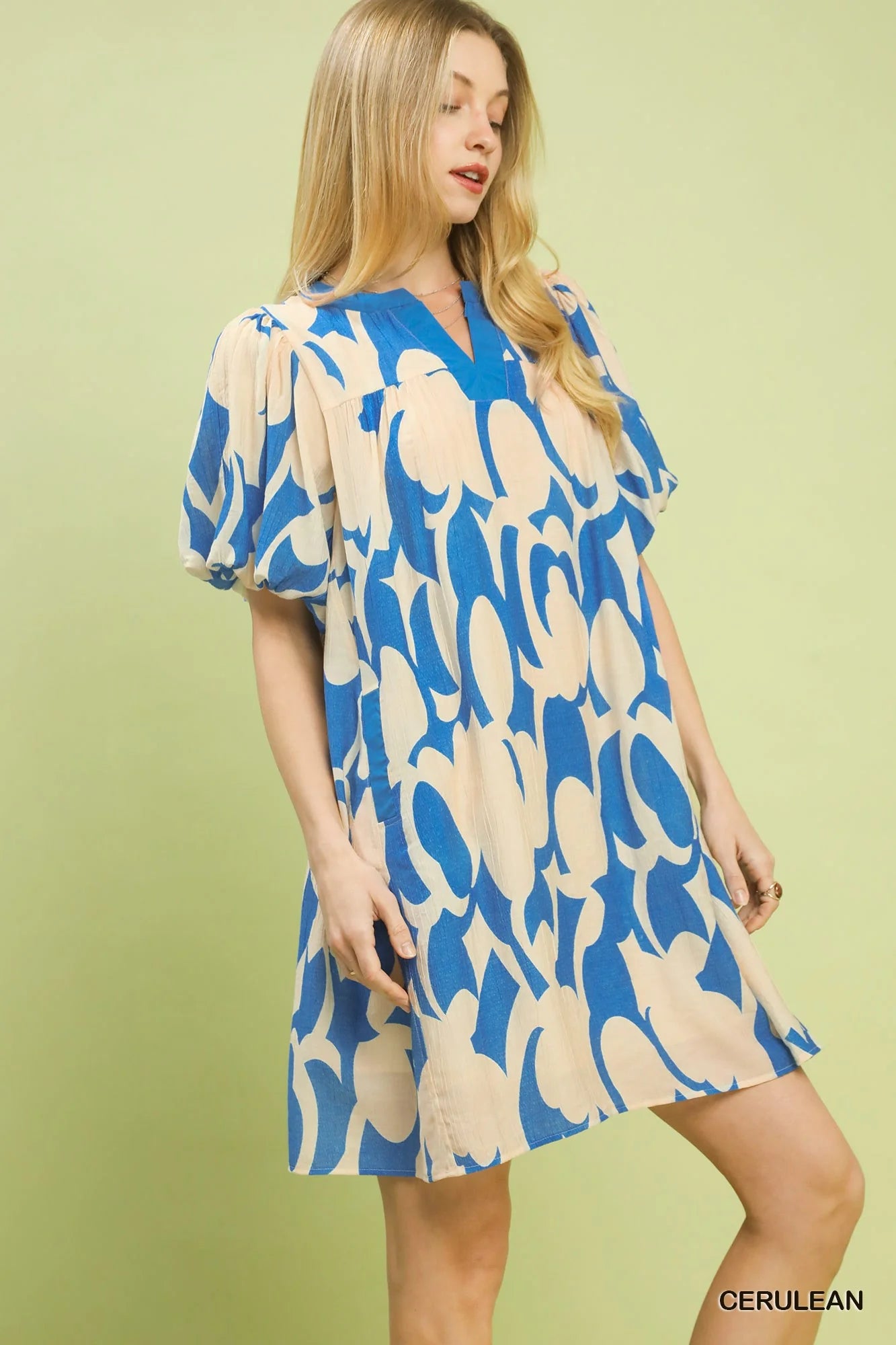Hazel Blues® |  Umgee Abstract Print Puff Sleeve Shift Dress