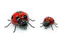 Décor - Lady Bug Pair